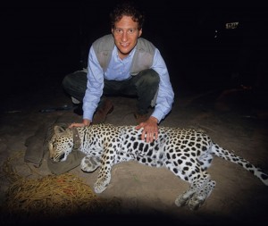 Kaplan in the field with a collared leopard in South Africa.